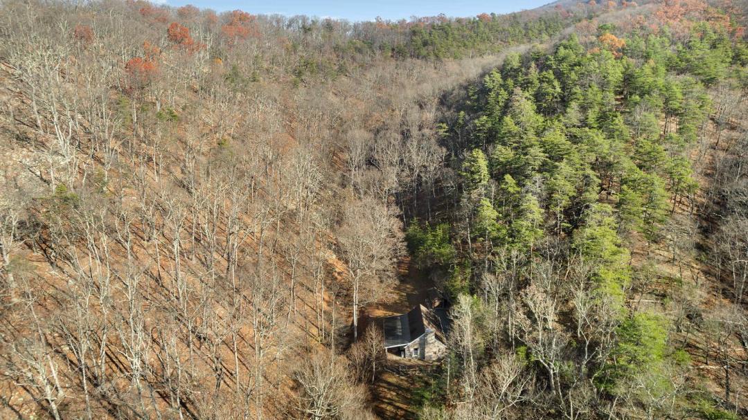 Photo of Others in Great Cacapon
