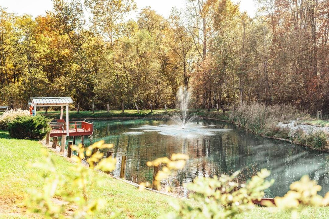 Photo of Outdoor in Rockbridge