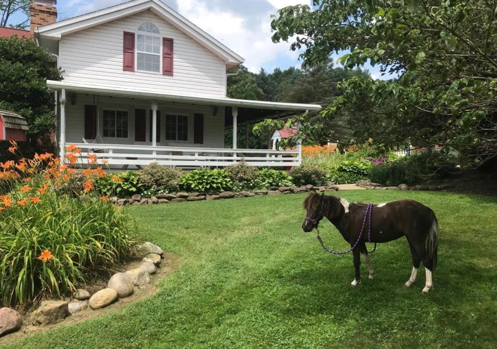 Photo of Others in Perrysville