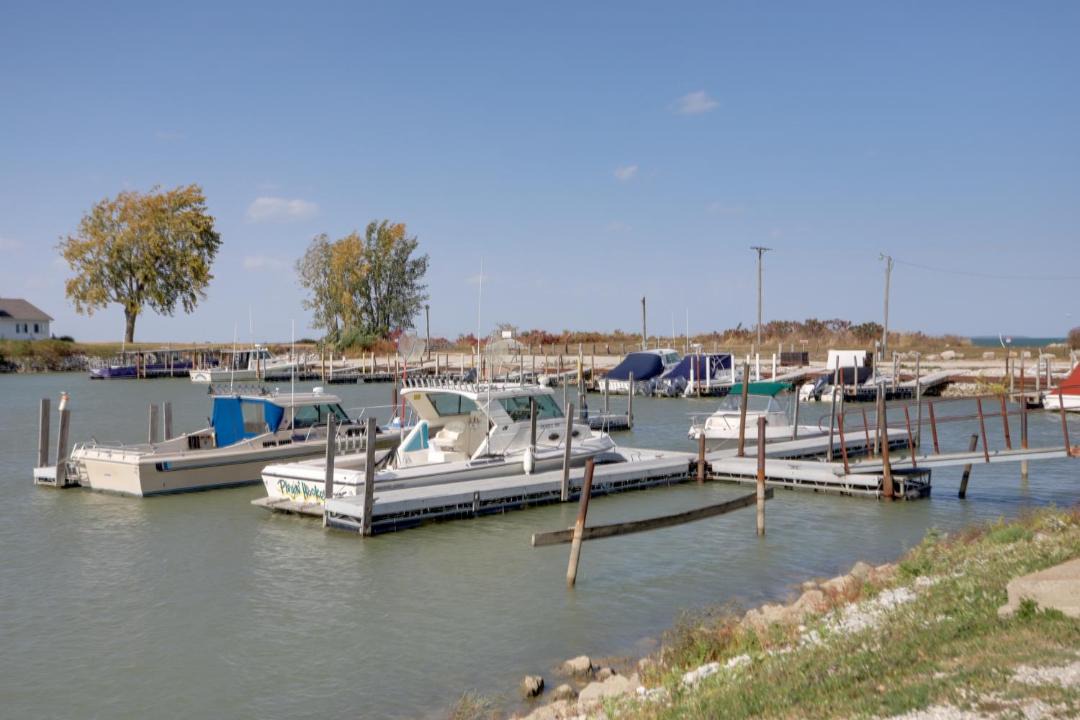 Photo of Others in Oak Harbor