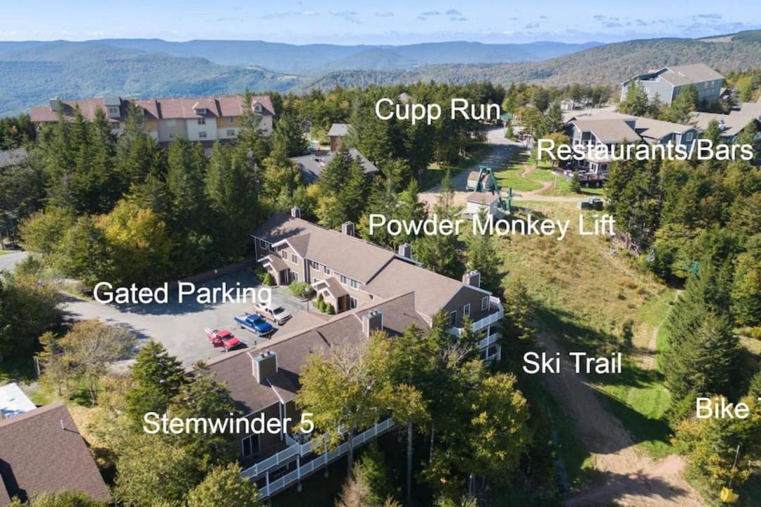Photo of Others in Snowshoe