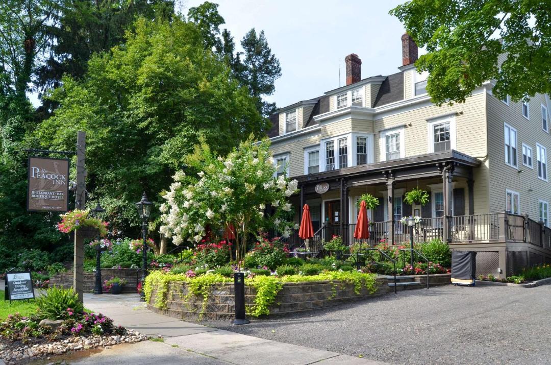 Photo of Others in Princeton