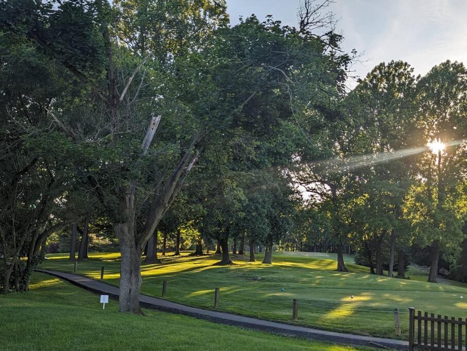 Photo of Others in Lebanon - Pine Grove