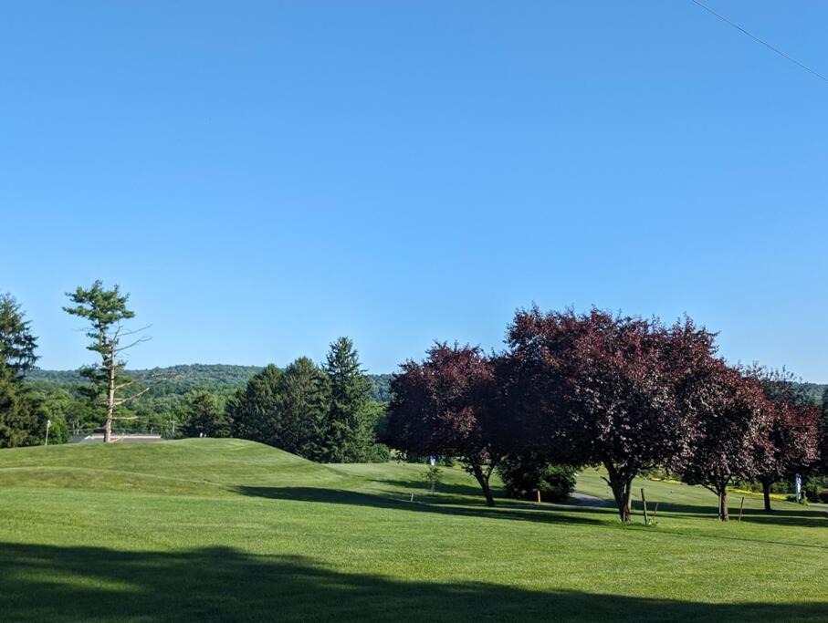 Photo of Others in Lebanon - Pine Grove