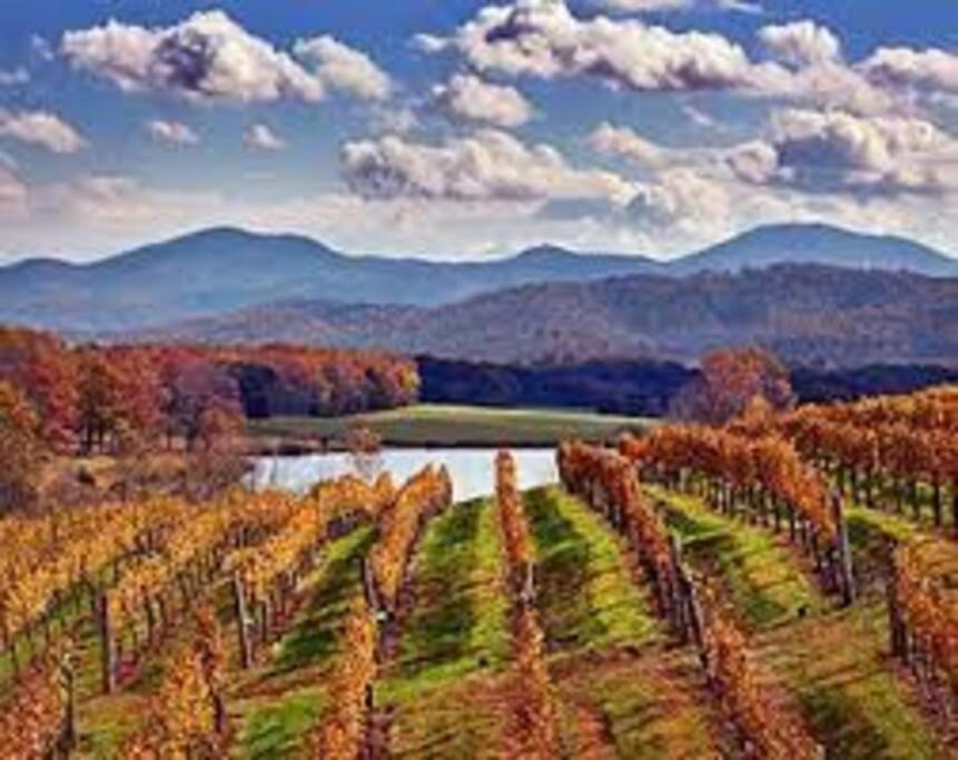 Photo of Outdoor in Afton