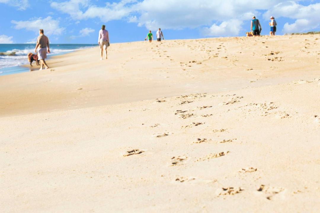 Photo of Others in Dewey Beach