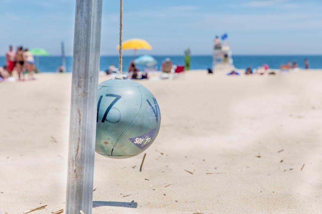 Photo of Others in Dewey Beach