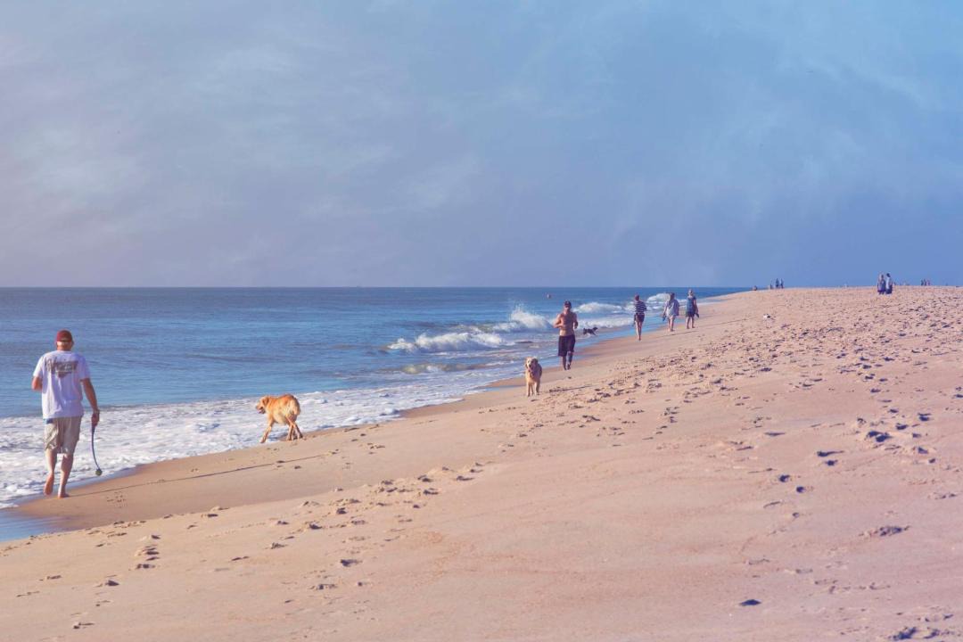 Photo of Others in Dewey Beach