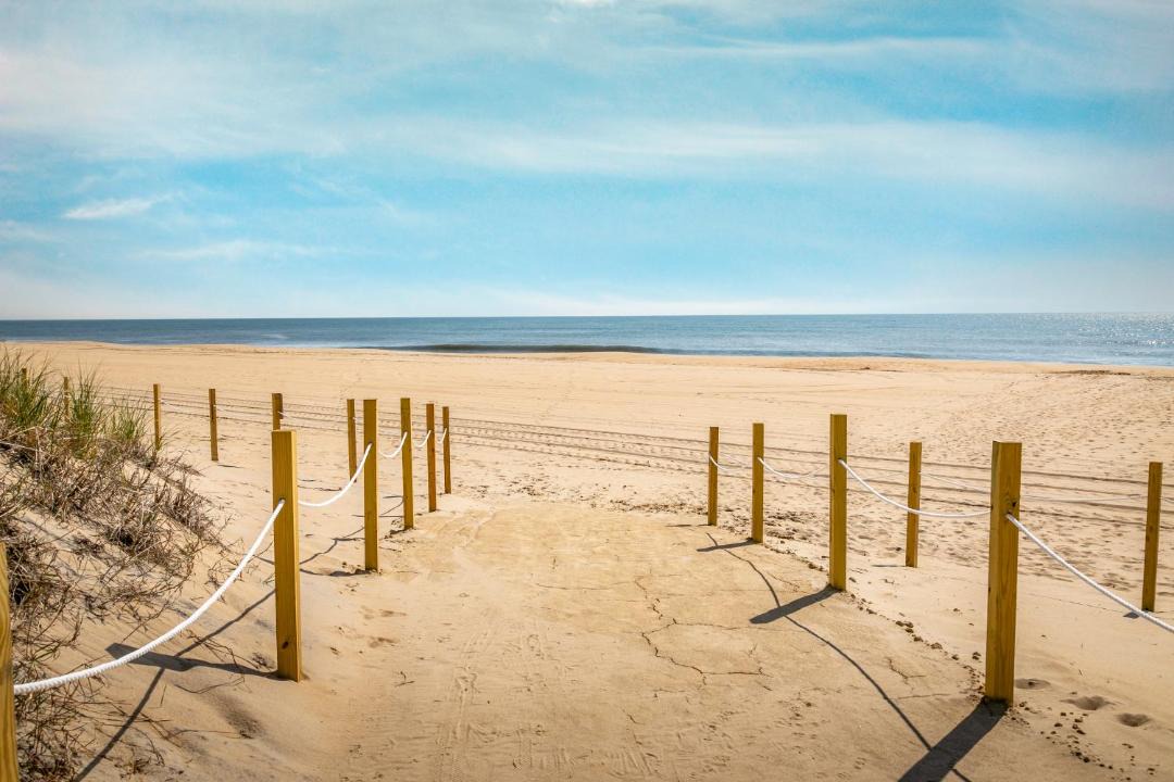 Photo of Others in Midtown Ocean City