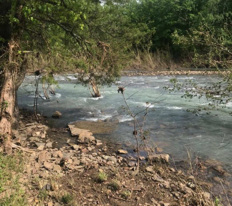Photo of Others in Pelsor