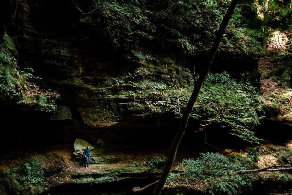 Photo of Others in Rockbridge