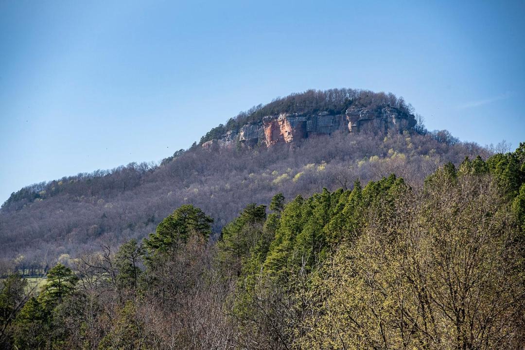 Photo of Outdoor in Mount Judea