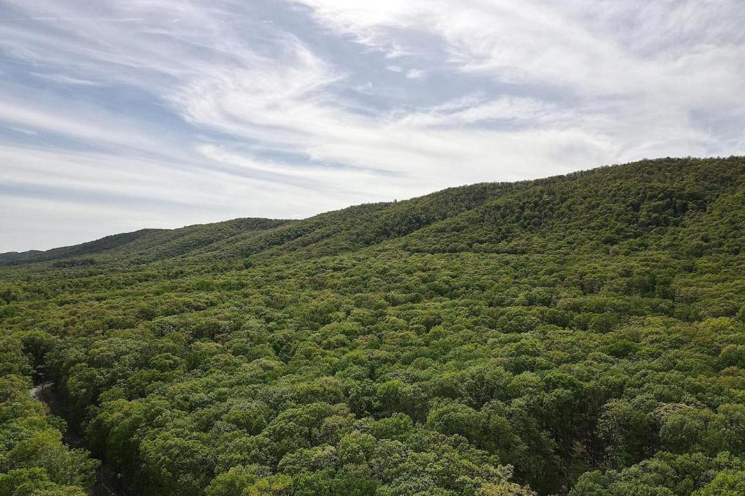 Photo of Others in Great Cacapon