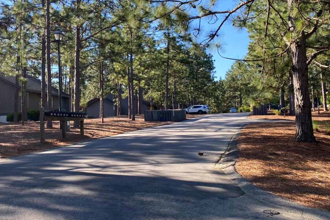 Photo of Others in Pinehurst