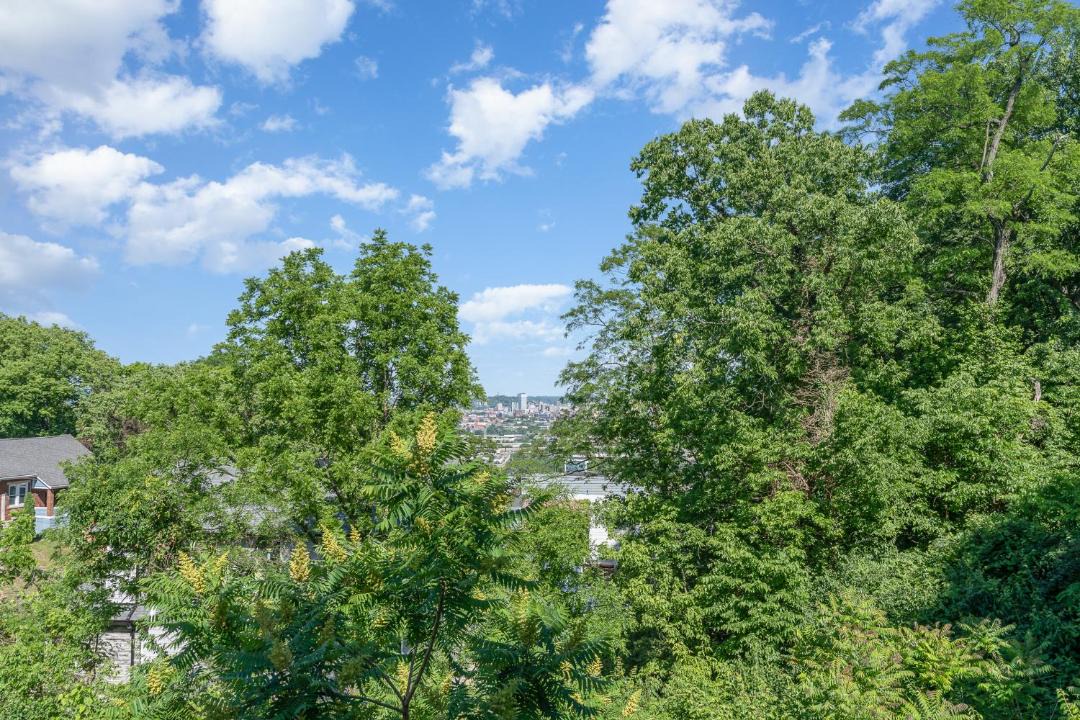 Photo of Others in East Price Hill