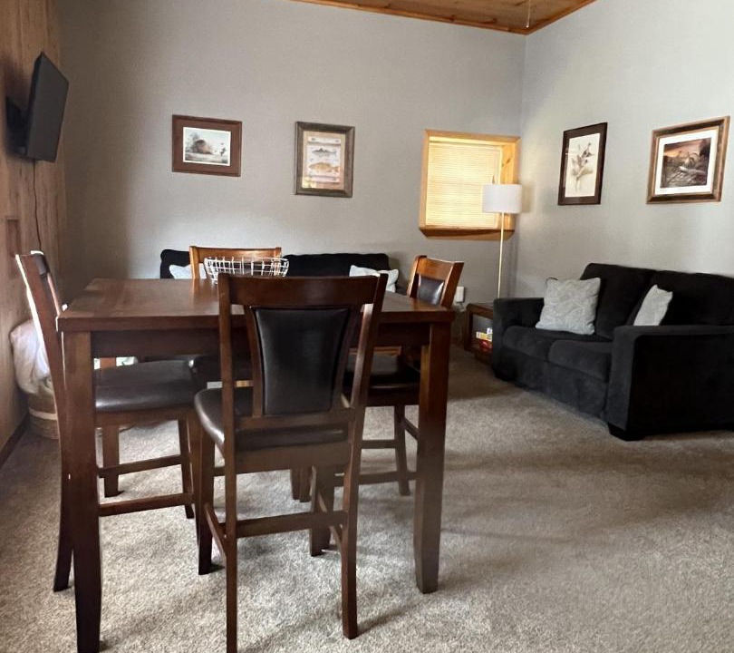 Photo of Livingroom in Ohiopyle