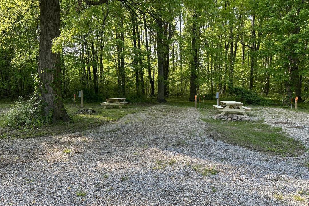 Photo of Others in Deerfield