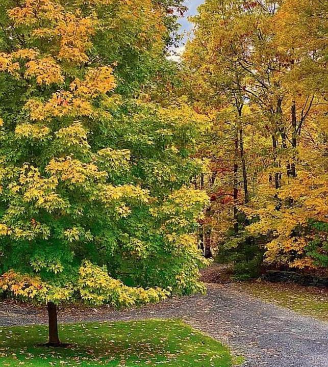 Photo of Outdoor in Mount Marion
