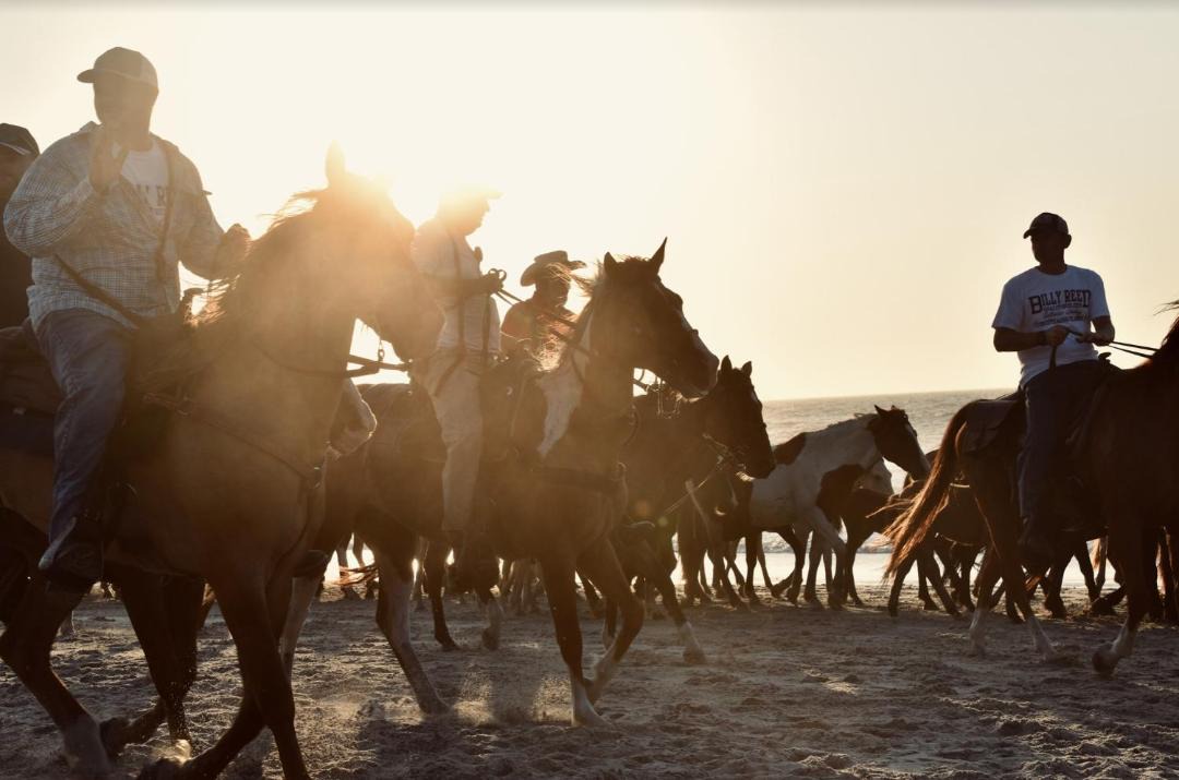 Photo of Others in Chincoteague