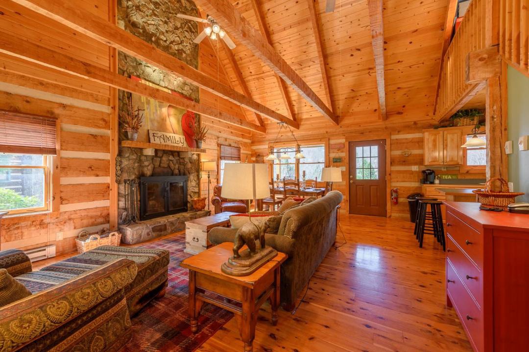 Photo of Livingroom in Seven Devils