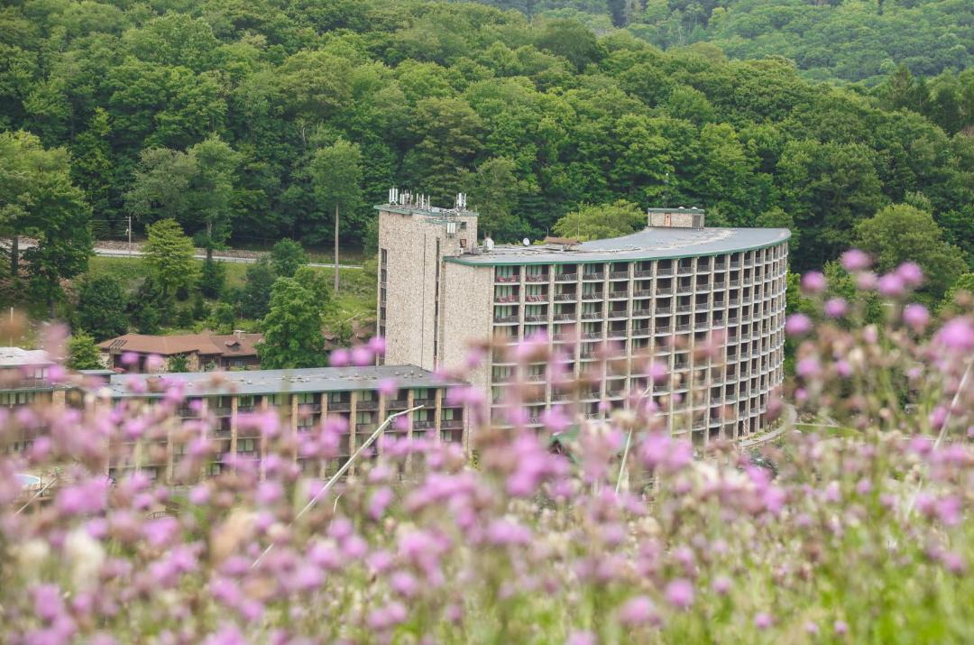 Photo of Others in Seven Springs