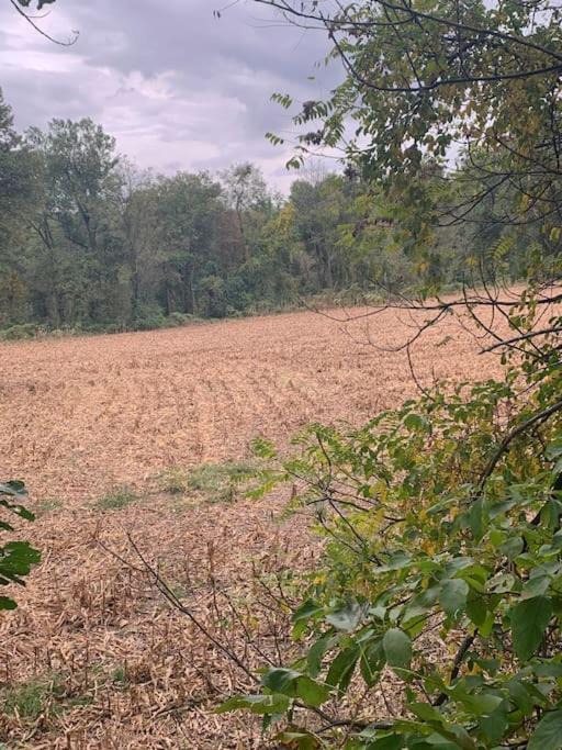 Photo of Others in Steelville
