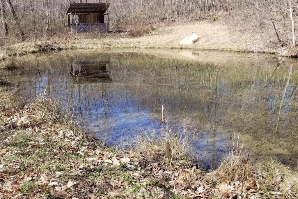 Photo of Outdoor in Adrian