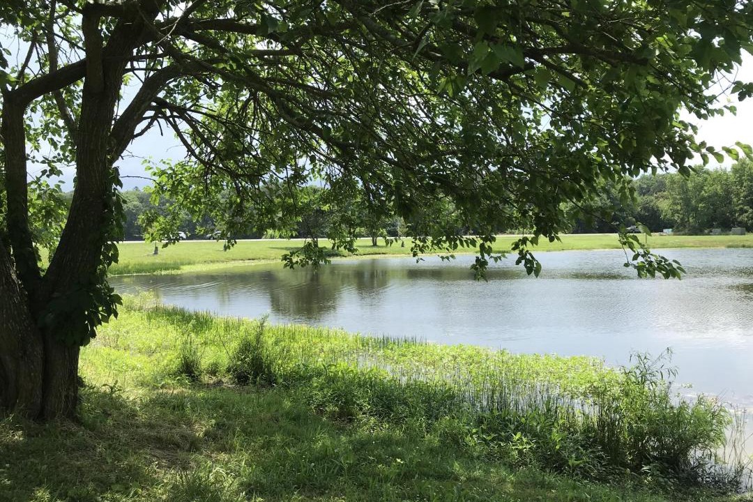 Photo of Outdoor in Ocean Pines