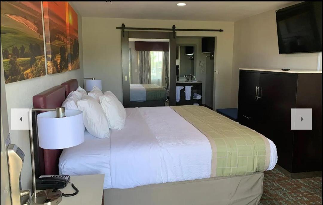 Photo of Bedroom in Bellville