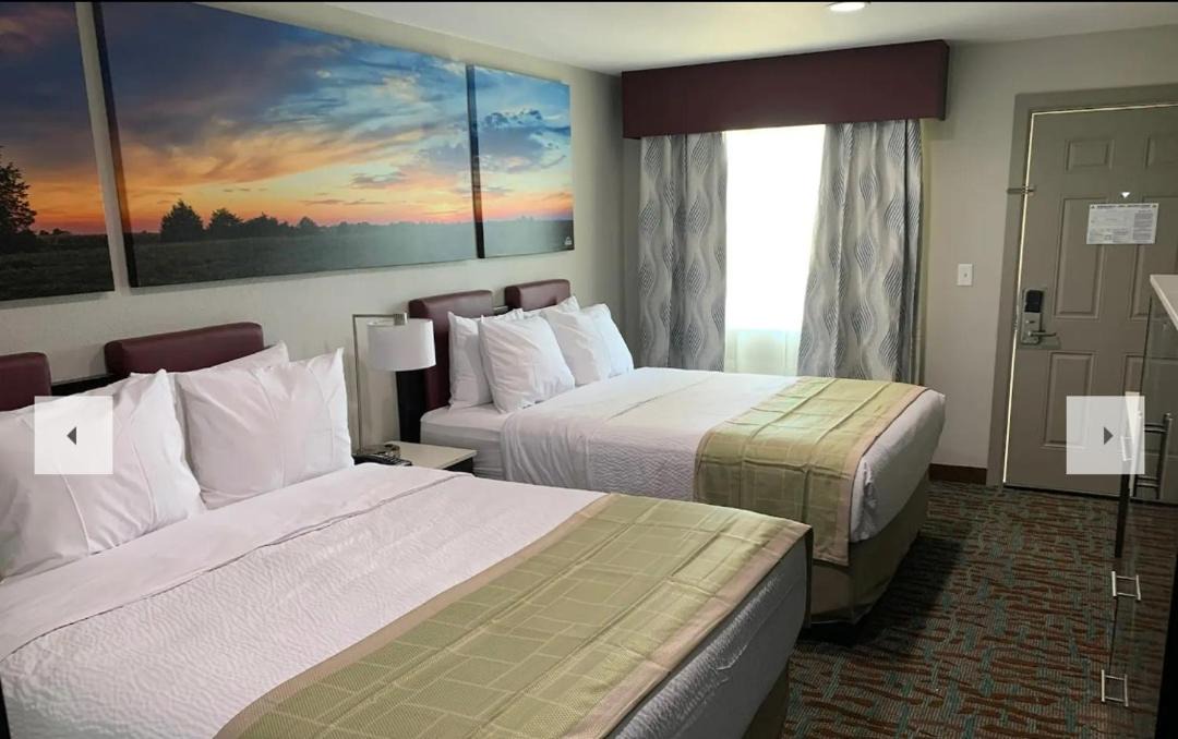 Photo of Bedroom in Bellville