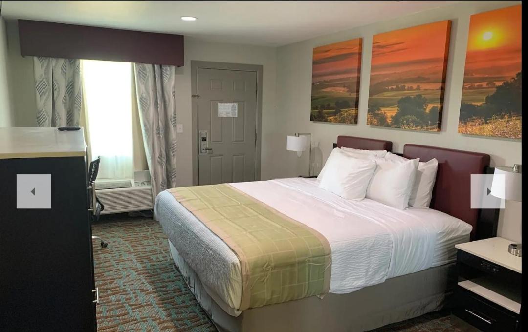 Photo of Bedroom in Bellville