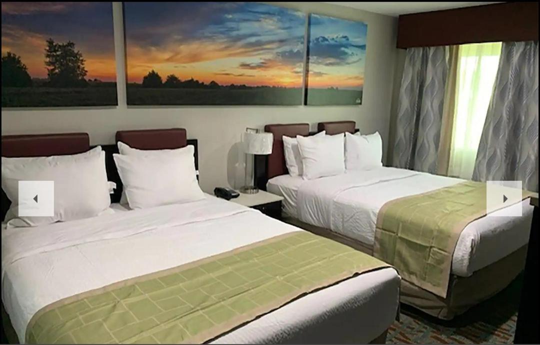 Photo of Bedroom in Bellville