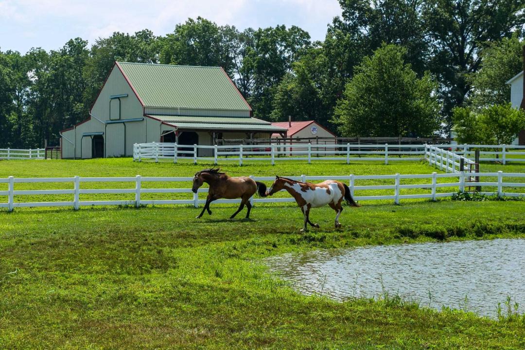 Photo of Others in Perrysville