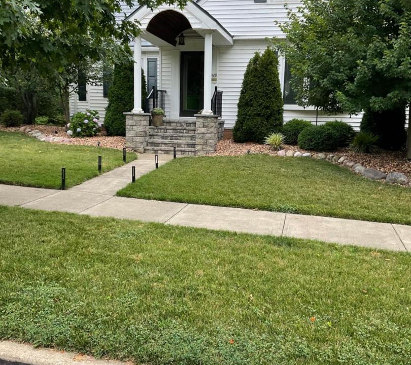 Photo of Buildings in Fairview Park