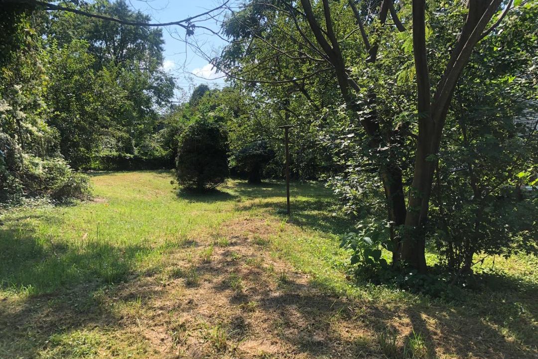 Photo of Outdoor in Cedmont