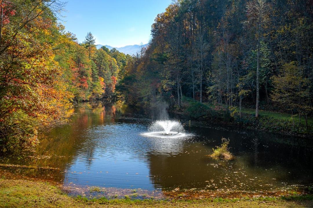 Photo of Outdoor in Pittman Center