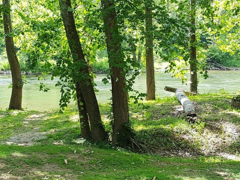 Photo of Others in Luray