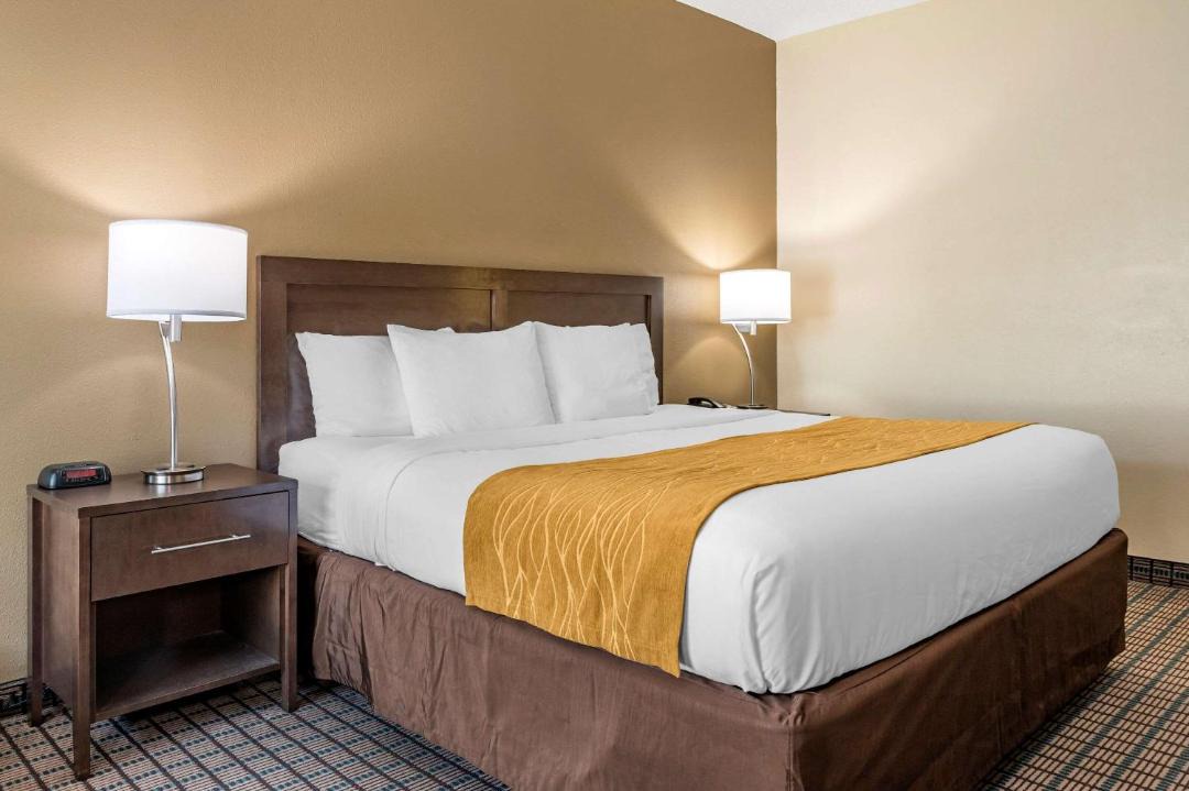 Photo of Bedroom in Clifton