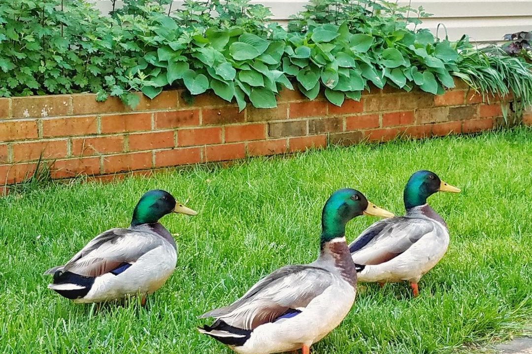 Photo of Others in Oxford