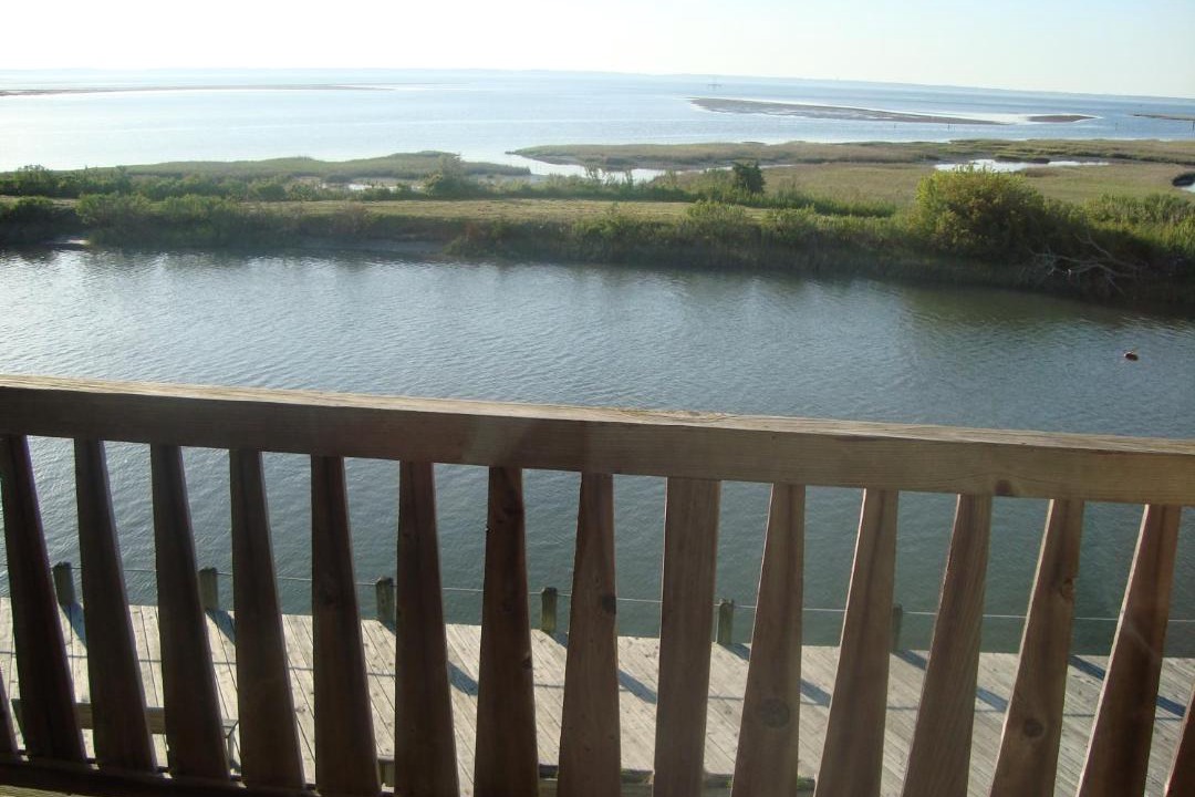 Photo of Others in Chincoteague