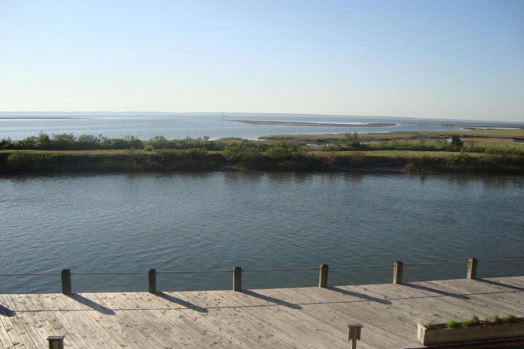 Photo of Others in Chincoteague