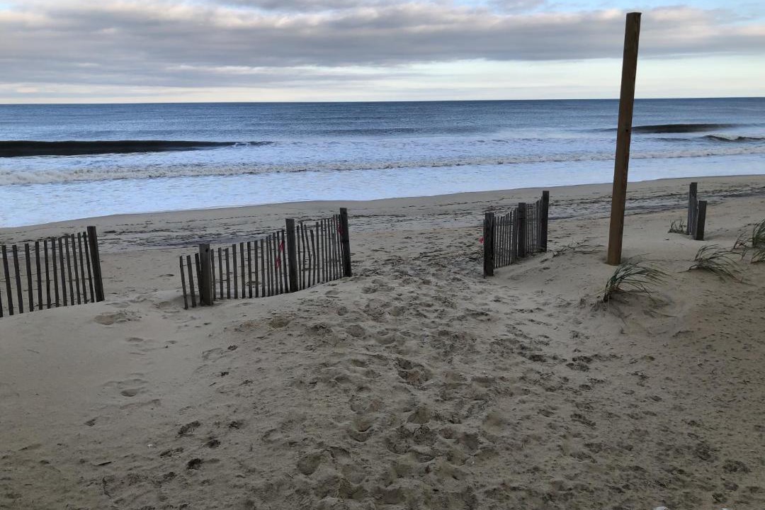 Photo of Others in Kitty Hawk