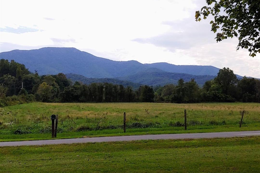 Photo of Others in Luray
