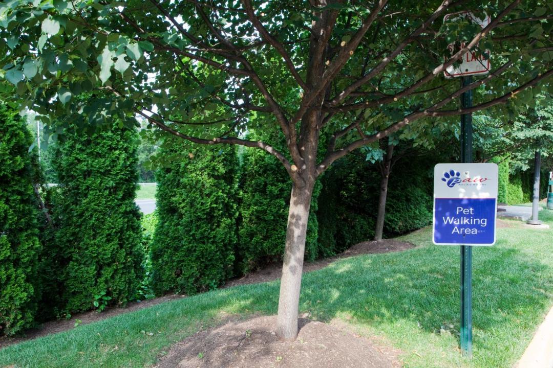 Photo of Others in Fairfax
