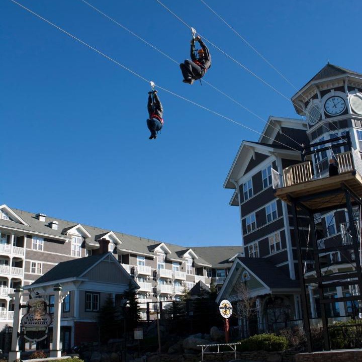 Photo of Others in Snowshoe
