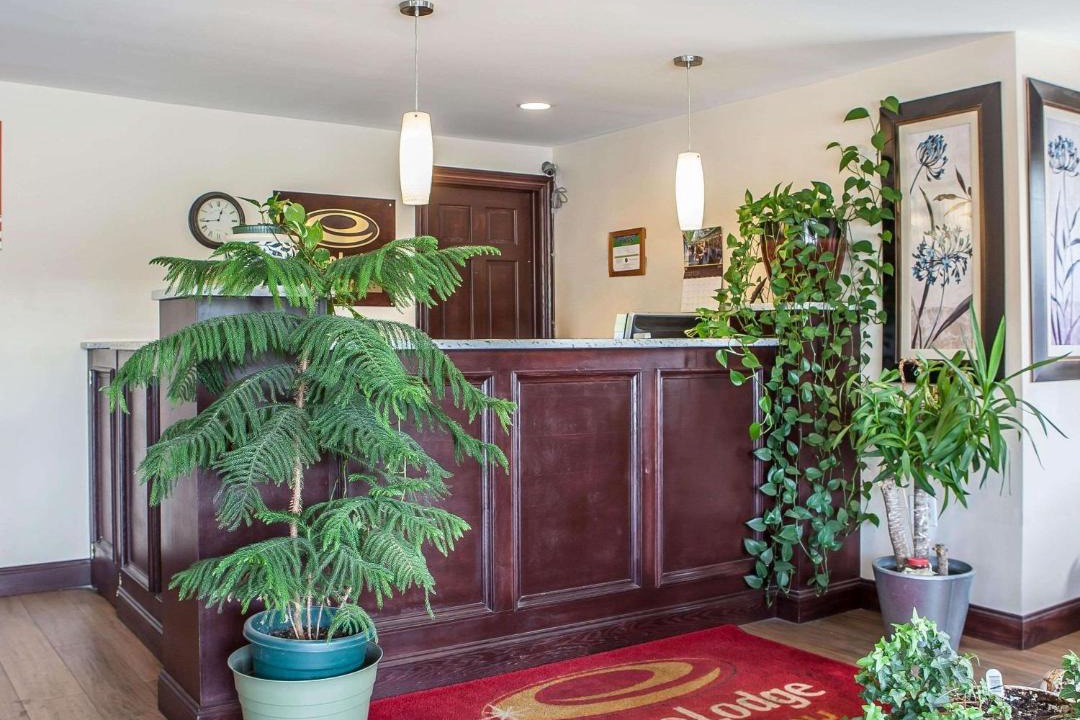 Photo of Livingroom in Newton