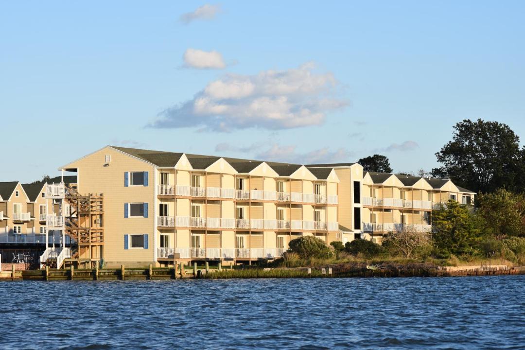 Photo of Others in Chincoteague