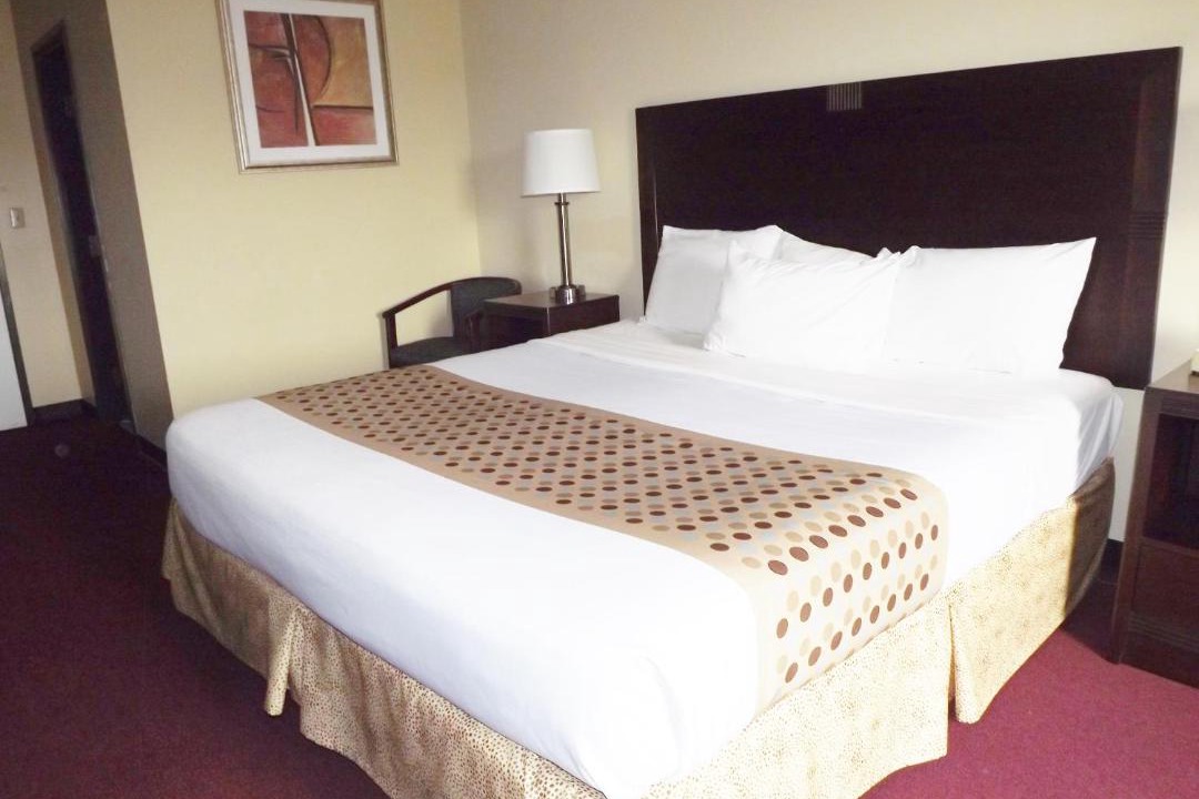 Photo of Bedroom in Issue
