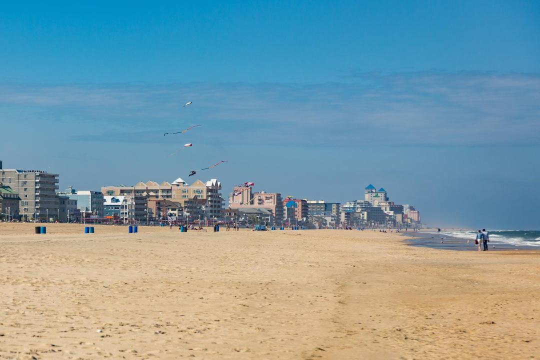 Photo of Others in Ocean City