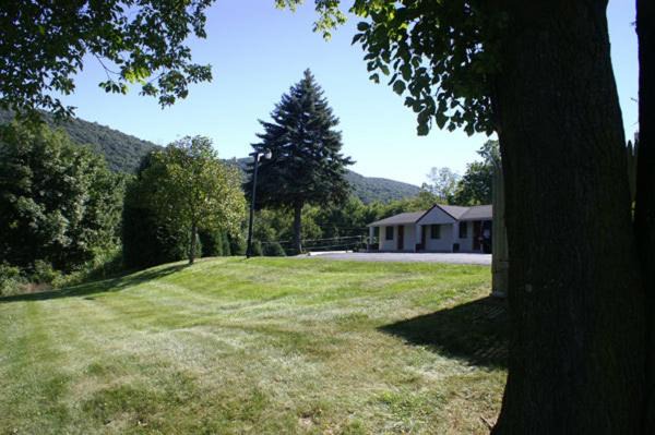 Photo of Others in Vernon